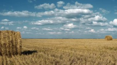 Haystacks on a yellow field with blue sky. Top view. The camera is moving backwards. 4K