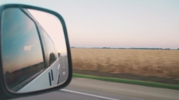 Sight Passenger Seat Car Window Rearview Mirror Yellow Wheat Fields — ストック動画