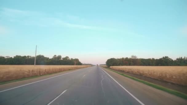 Постріл Машини Літній Дорозі Жовті Пшеничні Поля Узбіччі Кілометровий — стокове відео