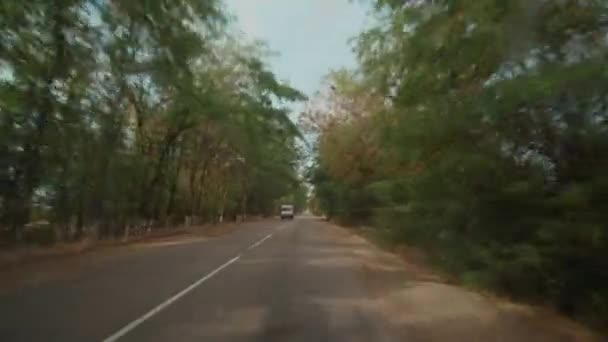 Highway Trees Roadside View Car Passenger Seat Summer Travel Video — ストック動画