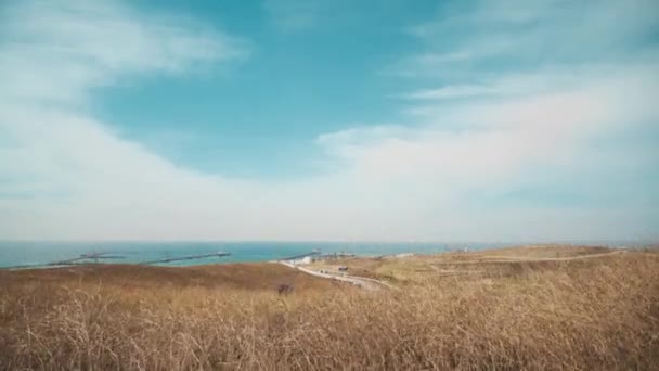 Yellow Field Dry Grass View Copter Horizon View Sea Port — Stockvideo