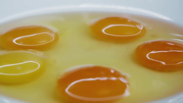 Close Yolks Bowl Bright Kitchen Production Food Colorings Horizontal Panorama — Video