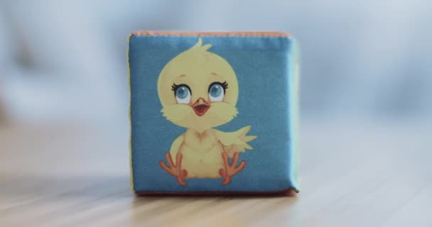 Children Plush Cube Image Chicken Cube Moved Side Back Close — ストック動画