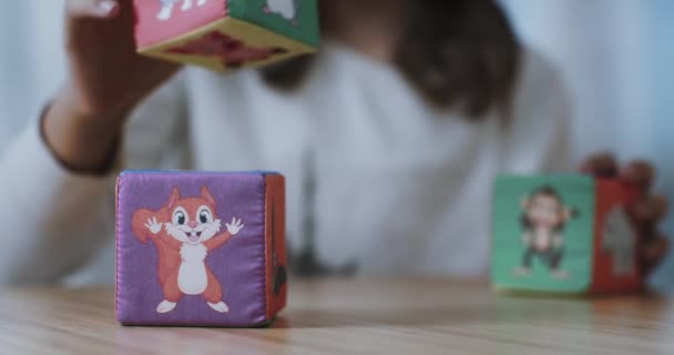 Three Children Plush Cubes Images Squirrel Cat Mouse Monkey Rhinoceros — Video Stock