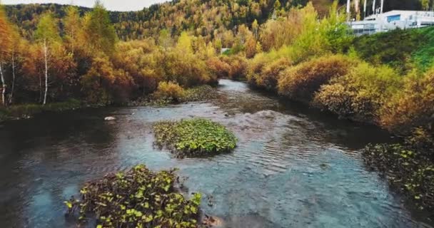 Flight River Middle Colorful Autumn Forest Blue Water River Power — Stockvideo
