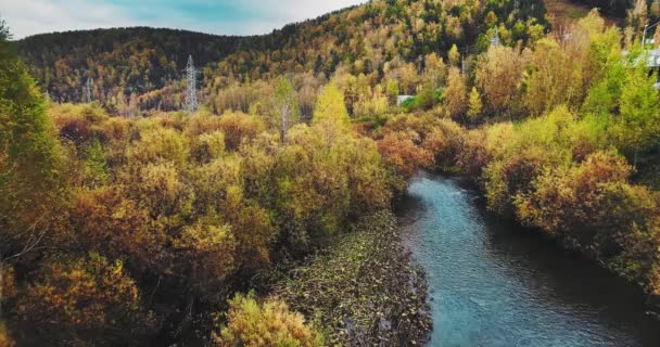 River Flows Middle Dense Autumn Forest Colorful Bright Trees Power — Stockvideo