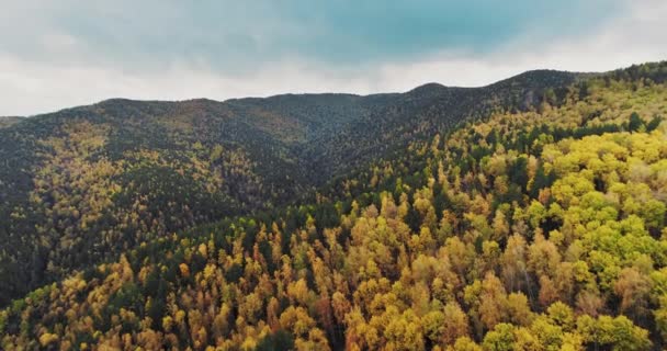 Bright Autumn Forest Bird Eye View Dense Colorful Trees Blue — Stockvideo