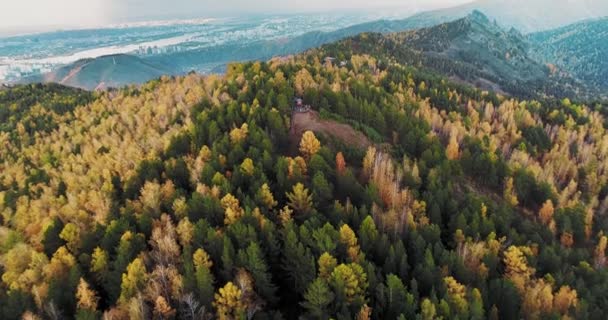 Drone View Colorful Dense Forest Autumn Trees People Walk Path — Stockvideo