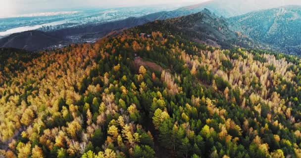 Bird Eye View Colorful Autumn Forest Green Yellow Trees City — Stockvideo