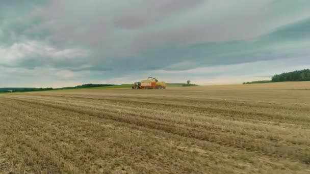 View Afar Combine Harvester Tractor Body Trailer Harvesting Process Large — Αρχείο Βίντεο