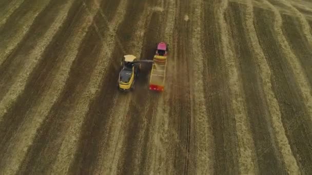 Drone Flies Yellow Combine Harvester Red Truck Harvest Trailer Harvesting — Stock video