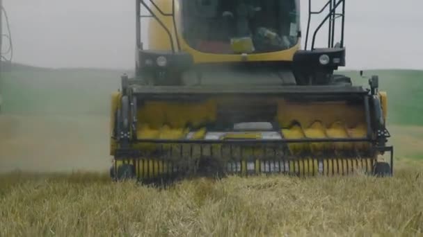 Male Combine Driver Riding Next Male Truck Driver Field Harvest — Stockvideo