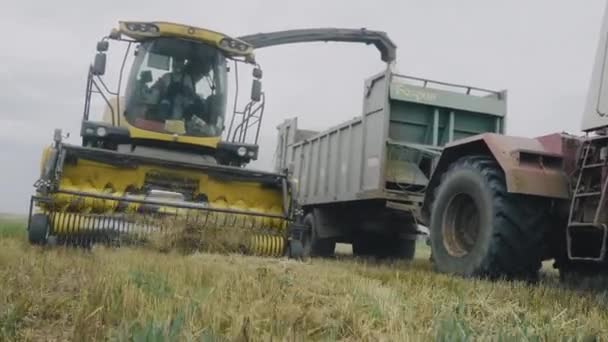 Yellow Combine Harvester Truck Harvest Trailer Going Field Man Driving — Αρχείο Βίντεο