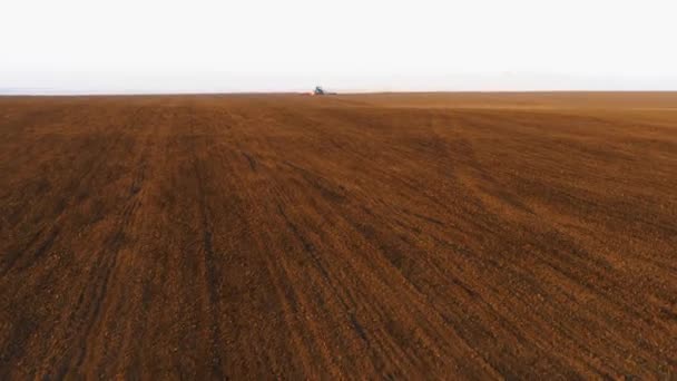 Penerbangan Helikopter Atas Ladang Pertanian Coklat Traktor Biru Dengan Burung — Stok Video