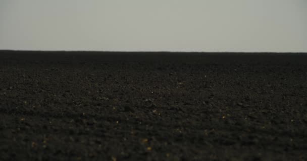 黒い土が閉じます 地平線に熱い空気が上昇し 地球の震えの効果を作成します トラクターは土の上を走り 茶色の塵の厚い雲を残します シネマティック フレーム — ストック動画