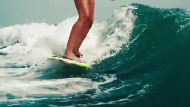 Kız Sörf Peşinde Koşuyor Dalgayı Yuvarlıyorum Bacaklara Tahtaya Yakın Çekim — Stok video