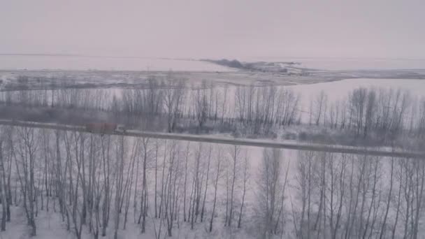 坦克卡车和汽车在冬天的路上 从上面看田野上覆盖着雪 一排排光秃秃的树天空不清楚 从无人机上看到的4K — 图库视频影像
