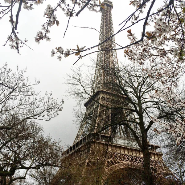 Eiffel Tower Looming Grey Day Paris — Stock Photo, Image