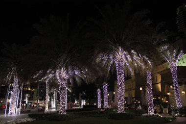 glowing light on trees at night