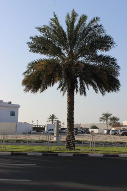 mysterious, and silent house on the top of the mountain like the place, with a blue sky, and green trees