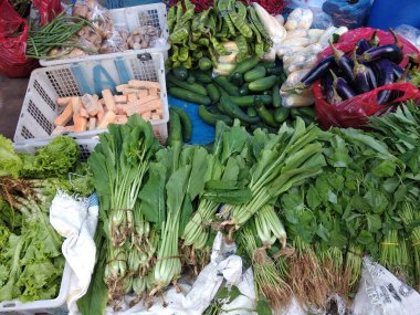 oncom, kale, spinach, mustard greens, cucumber, eggplant, corn and several other vegetables sold at traditional markets in Lampung, Indonesia