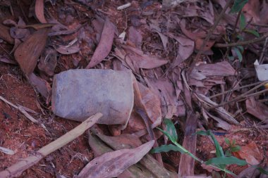 Çürüyemeyen plastik atık doğaya zarar verebilir.
