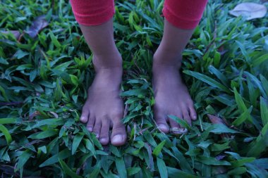 Yeşil çimlerin üzerinde çıplak ayakla çekilmiş yüksek açılı bir fotoğraf.