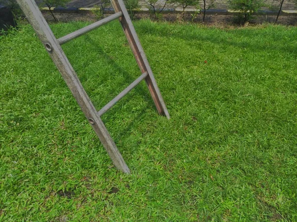 High Angle View Ladder Green Grass — Stock Photo, Image