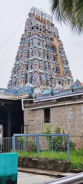 christmas celebration trees snow decorations 