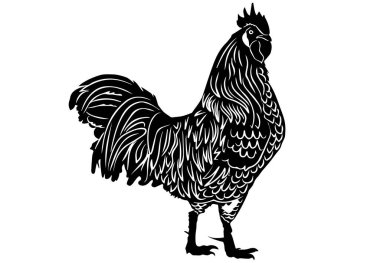 Erkek adı horoz siyah beyaz siluet