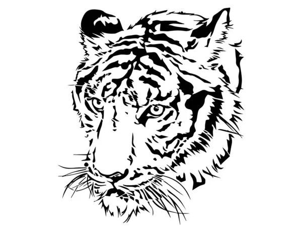 Vector Illustration Tiger Head — Stock Vector