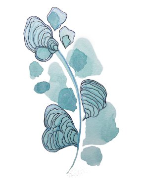 Mavi ve beyaz çiçeklerin suluboya çizimi