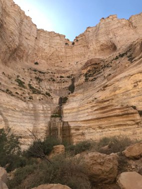 Goat Hills of Isreal Desert