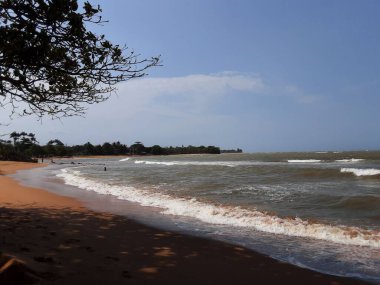 beach with a beautiful sea view