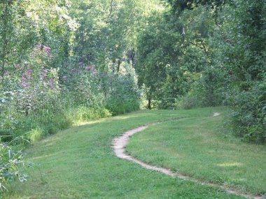 A winding path through freshly cut grass at the park 