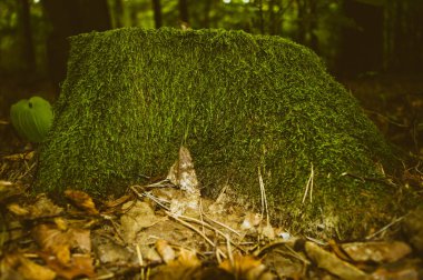 evening view over the lake