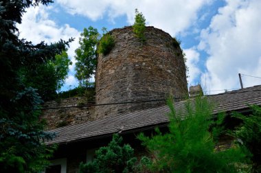 View of the ruins of the round tower of Talmberk from the southeast from the street below the castle (Czech Republic)