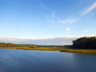 Roztocze bölgesindeki Zwierzyniec yakınlarındaki ormanlarla çevrili güzel Echo göllerinin manzarası. Eylül 2022 Polonya