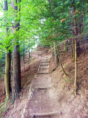 Sokolica dağının tepesindeki Szczawnica kasabasından gelen mavi patika. Ağustos 2022 Yaz