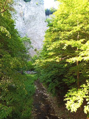 Dunajec vadisi Polonya 'nın Szczawnica kasabasından Sovakya' nın Kızıl Manastırı 'na kadar uzanır. Ağustos 2022 Yaz