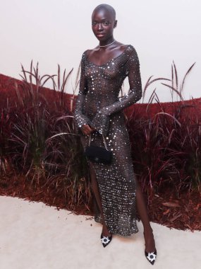 SouKeyna Diouf, New York 'taki REVOLVE Galerisi NYFW' ye (New York Moda Haftası) 8 Eylül 2022 'de Hudson Yards' daki The Shops 'ta düzenlenen sunum VIP açılış etkinliğine geldi.. 