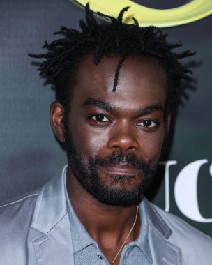 Amerikalı aktör William Jackson Harper 25 Temmuz 2022 'de Hollywood Roosevelt Oteli' nde Peacock, UCP ve Entertainment Weekly 'nin ev sahipliğinde Los Angeles' taki Peacock 's Original Series' The Resort 'filminin galasına geldi.