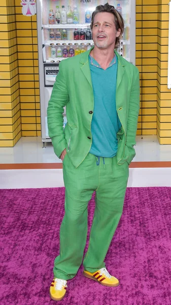 American Actor Brad Pitt Wearing Custom Haans Nicholas Mott Look — Stock Photo, Image