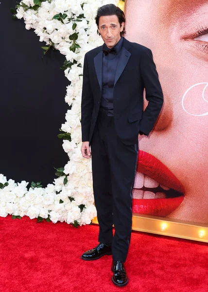 Actor Estadounidense Adrien Brody Llega Estreno Los Ángeles Blonde Netflix — Foto de Stock