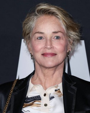 Sharon Stone Netflix 'in' A Jazzman 's Blues' unun Los Angeles galasına 16 Eylül 2022 'de Hollywood, Los Angeles, Kaliforniya, ABD' deki Netflix Tudum Tiyatrosu 'na geldi..