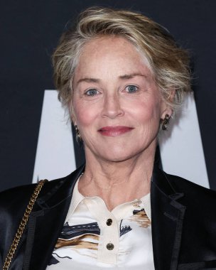 Sharon Stone Netflix 'in' A Jazzman 's Blues' unun Los Angeles galasına 16 Eylül 2022 'de Hollywood, Los Angeles, Kaliforniya, ABD' deki Netflix Tudum Tiyatrosu 'na geldi..
