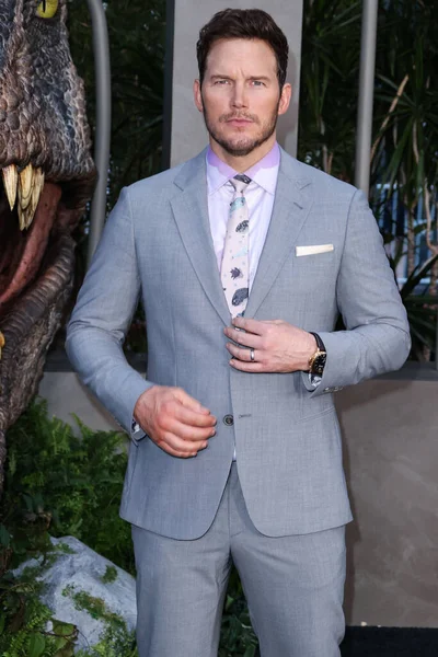 Actor Estadounidense Chris Pratt Llega Estreno Los Ángeles Del Jurassic —  Fotos de Stock