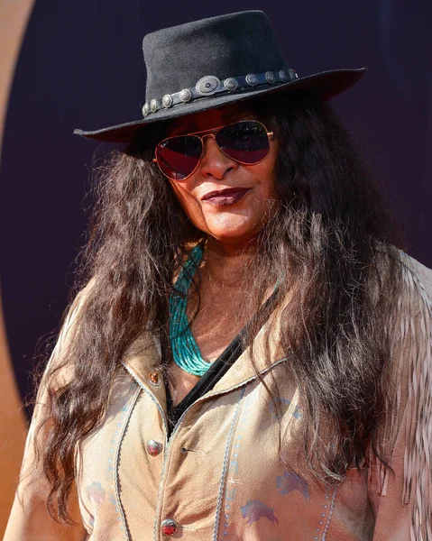 Amerikalı aktris Pam Grier 2022 TCM Klasik Film Festivali 'nin 40. yıl dönümü gösterimine geldi. The Extra-Terrestrial 21 Nisan 2022 'de Hollywood, Los Angeles, Kaliforniya' daki TCL Çin Tiyatrosu IMAX 'te düzenlendi.