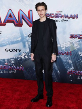 Ryder Birası, 13 Aralık 2021 'de Westwood, Los Angeles, Kaliforniya, ABD' deki Regency Village Theatre 'da düzenlenen' Örümcek Adam: No Way Home 'filminin Los Angeles galasına geldi..