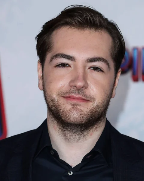 Amerikaanse Acteur Michael Gandolfini Arriveert Bij Los Angeles Premiere Columbia — Stockfoto